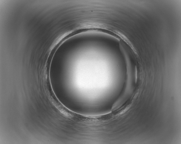 X0000080130885200612081227