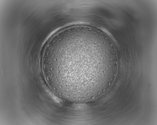 X0000080130886200612081227