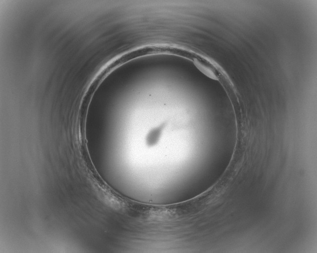 X0000080130887200612081227