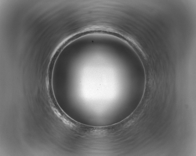 X0000080130888200612081227