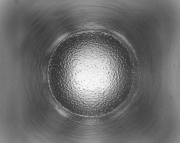 X0000080130889200612081227