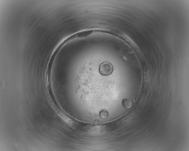 X0000080130891200612081227