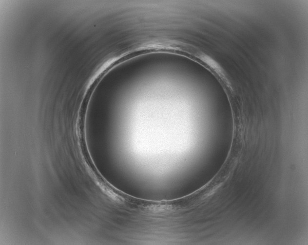 X0000080130893200612081227