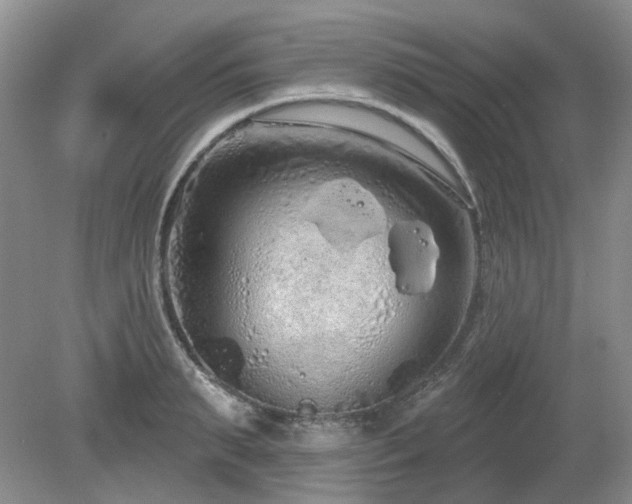 X0000080130895200612081227