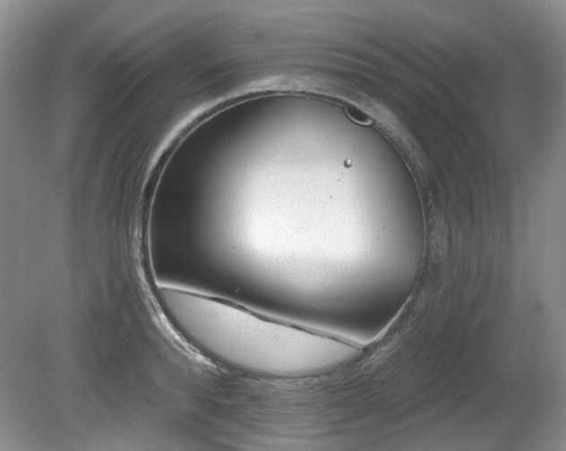 X0000080130896200612081227