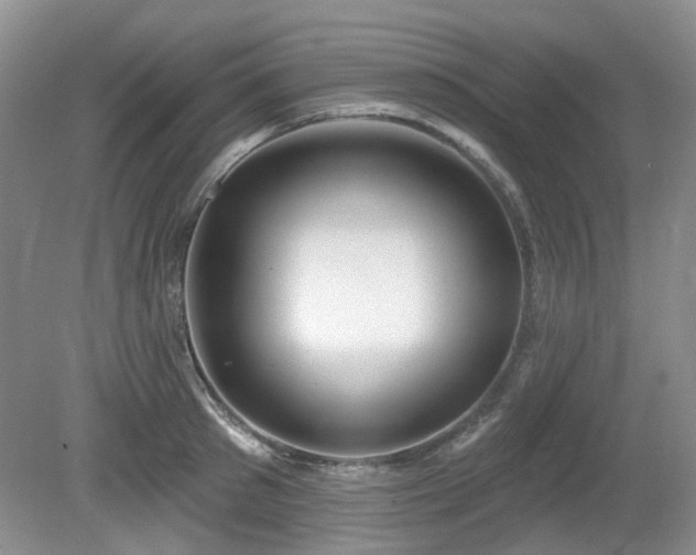 X0000080130897200612081227