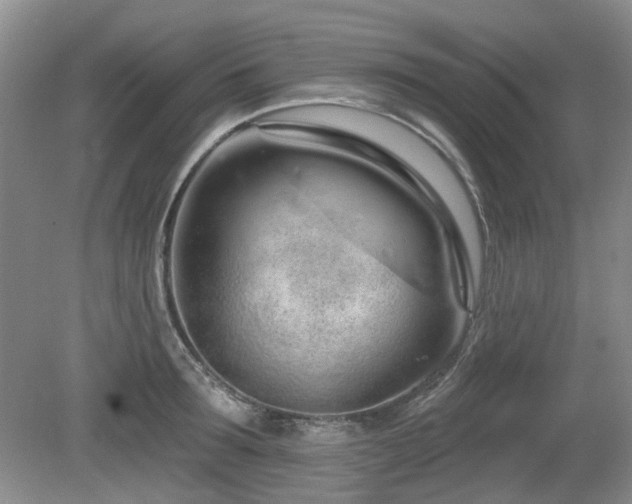 X0000080130899200612081227