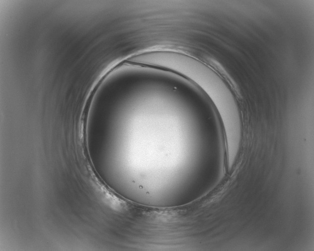 X0000080130900200612081227