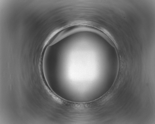 X0000080130901200612081227