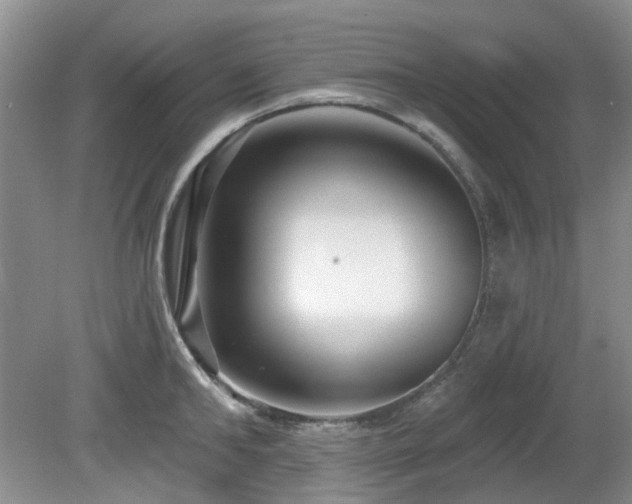 X0000080130902200612081227