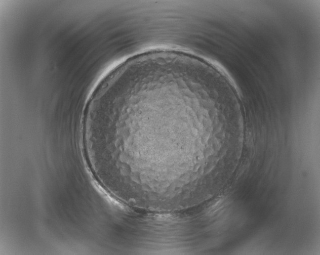 X0000080130903200612081227