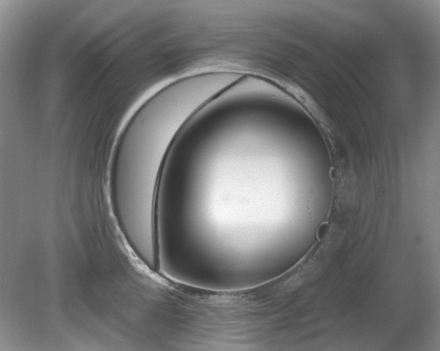 X0000080130904200612081227