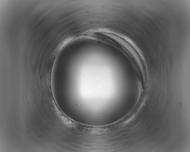 X0000080130905200612081227