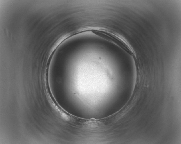 X0000080130906200612081227