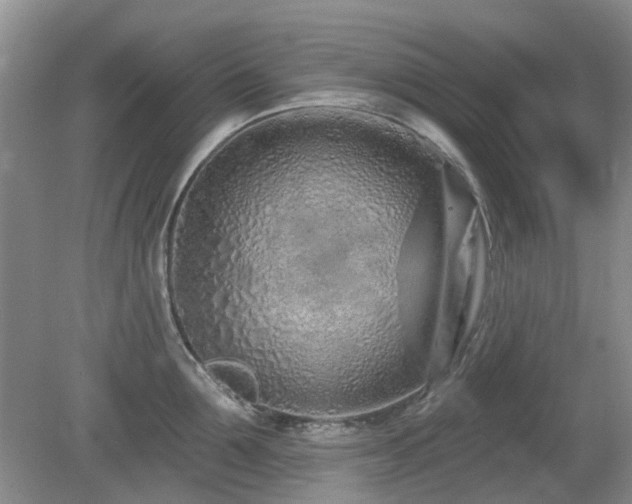 X0000080130907200612081227