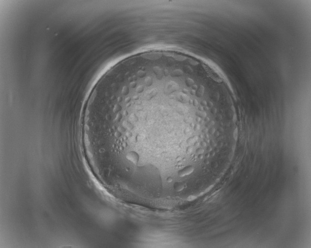 X0000080130911200612081227