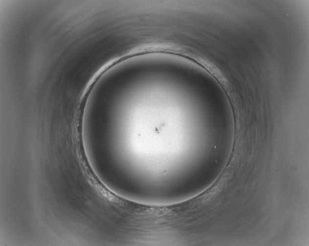 X0000080130912200612081227