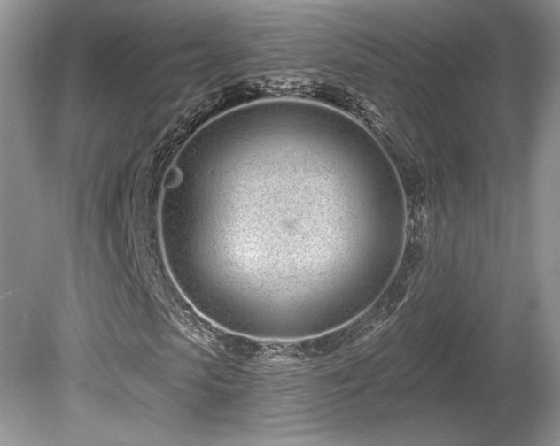 X0000080130913200612081226