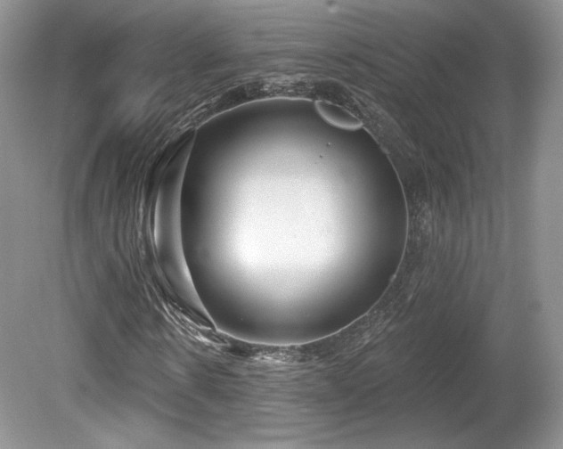 X0000080130914200612081226