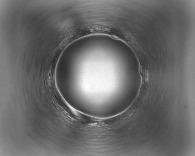 X0000080130915200612081226