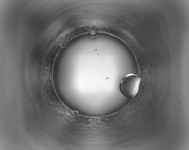 X0000080130918200612081226