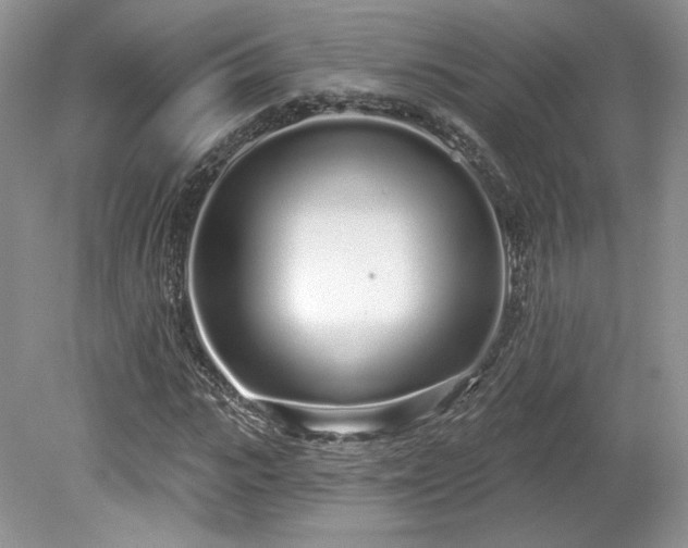 X0000080130919200612081226