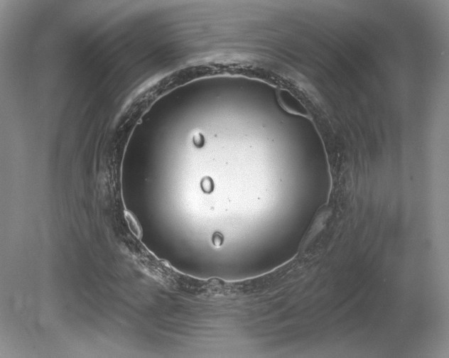 X0000080130920200612081226