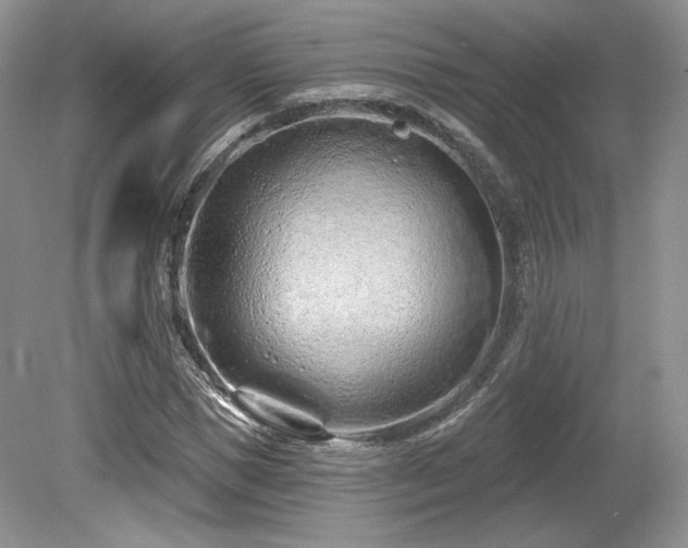 X0000080130921200612081226