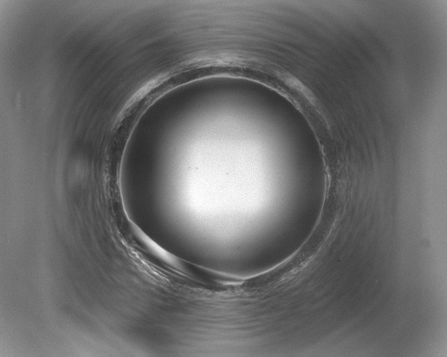 X0000080130922200612081226