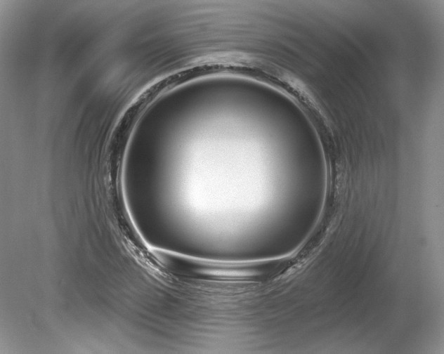 X0000080130923200612081226