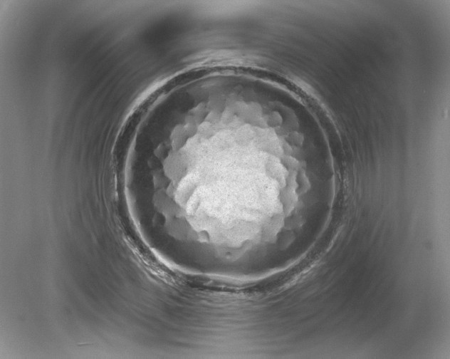 X0000080130925200612081226