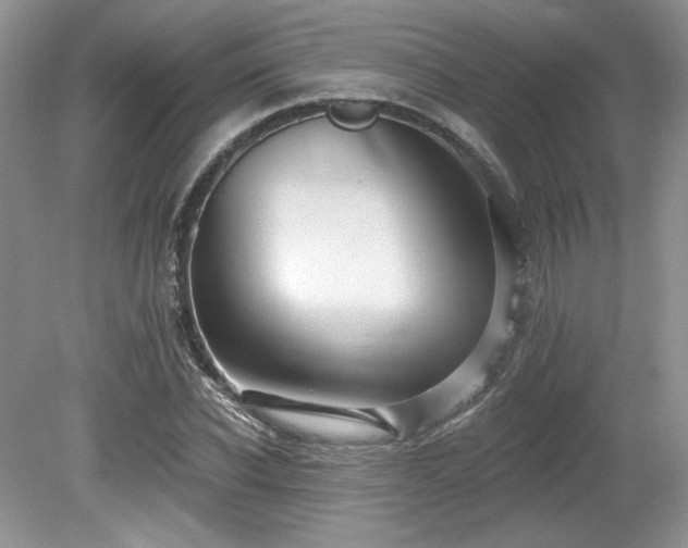 X0000080130926200612081226