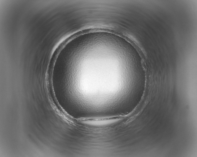 X0000080130928200612081226