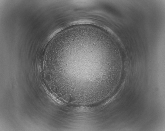 X0000080130929200612081226