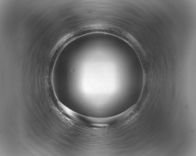 X0000080130930200612081226