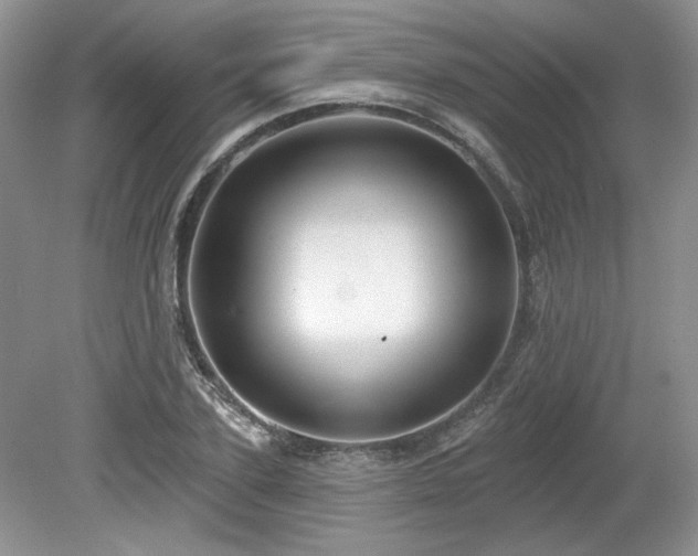 X0000080130931200612081226