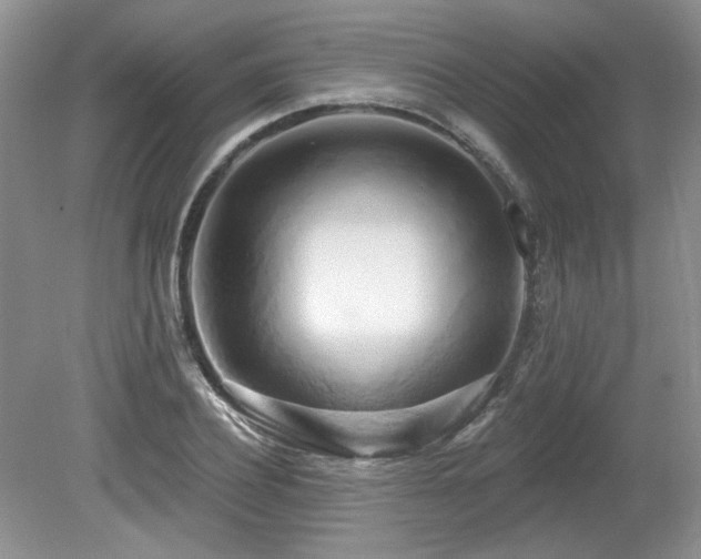 X0000080130932200612081226