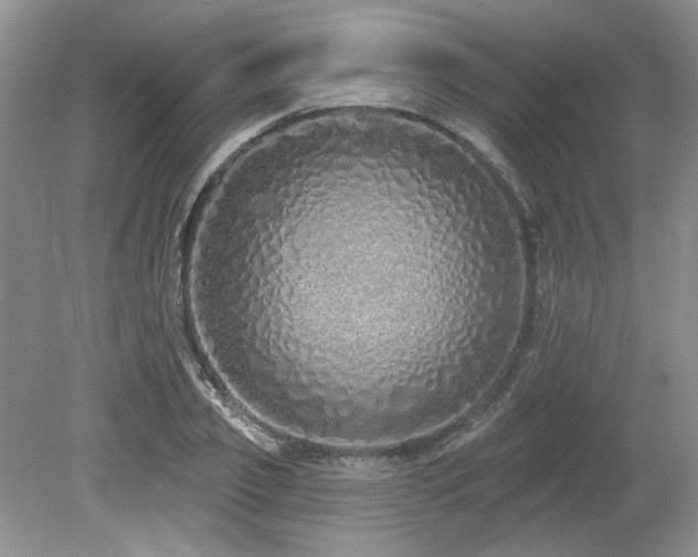 X0000080130933200612081226