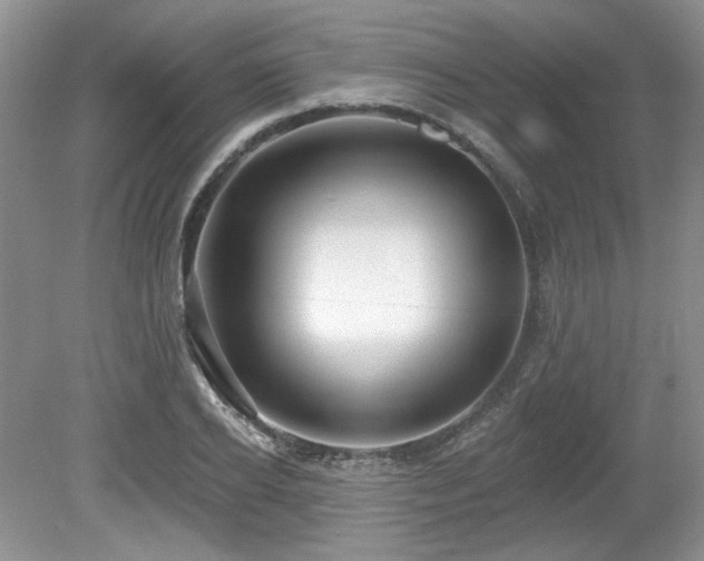 X0000080130934200612081226