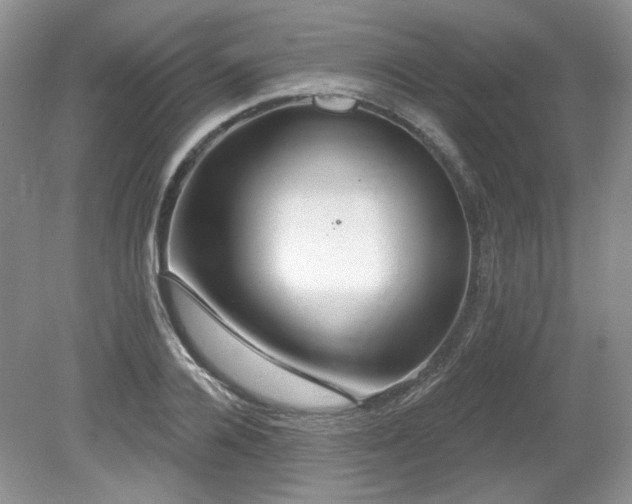 X0000080130936200612081226