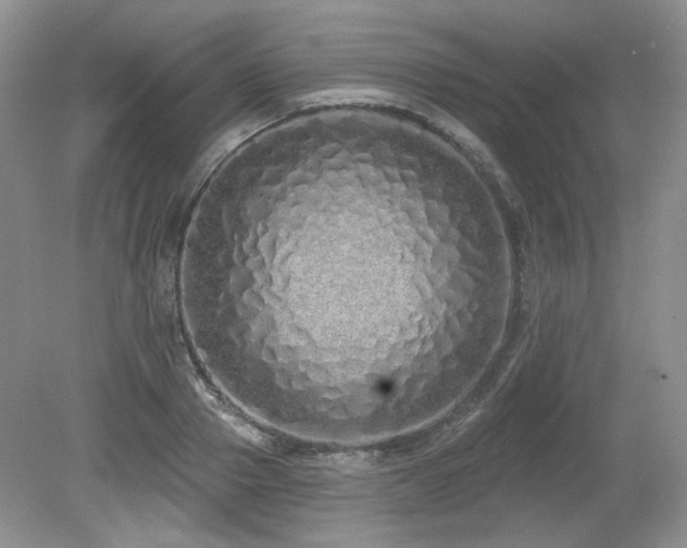 X0000080130937200612081226