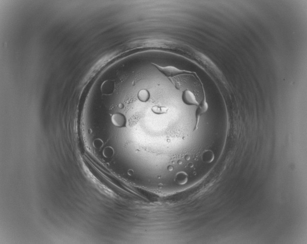 X0000080130938200612081226