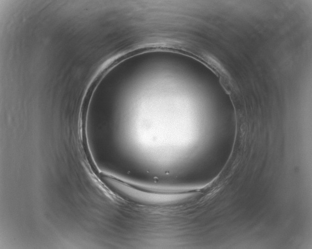 X0000080130940200612081226