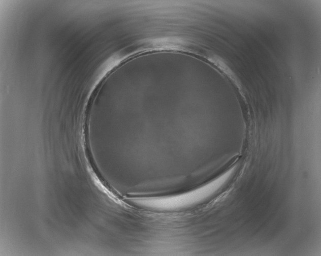 X0000080130941200612081226