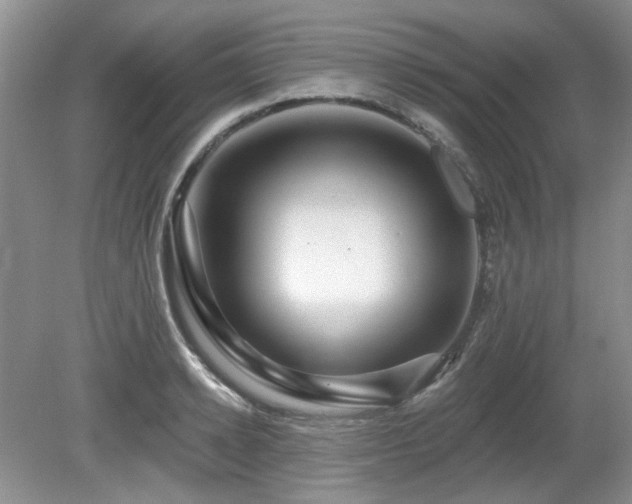 X0000080130942200612081226