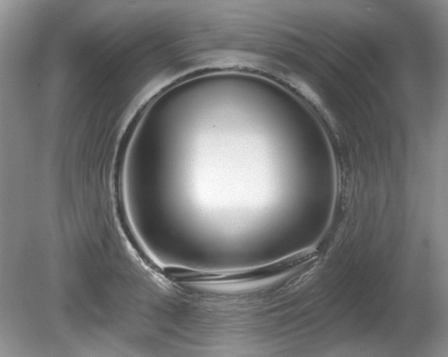 X0000080130943200612081226