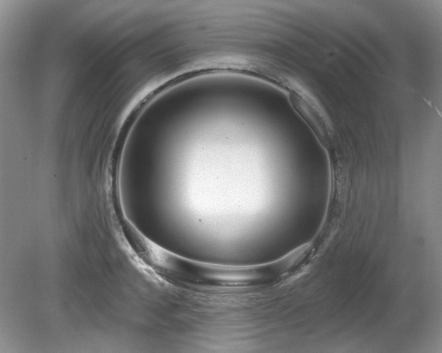 X0000080130944200612081226