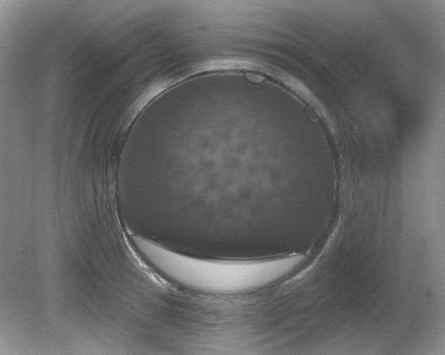 X0000080130945200612081226