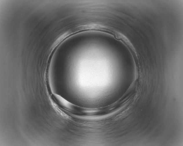 X0000080130946200612081226