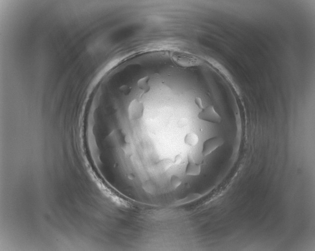 X0000080130949200612081226